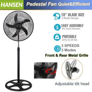 Hansen standing fan
